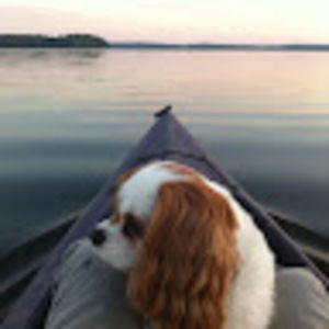 Meet your Posher, Dan